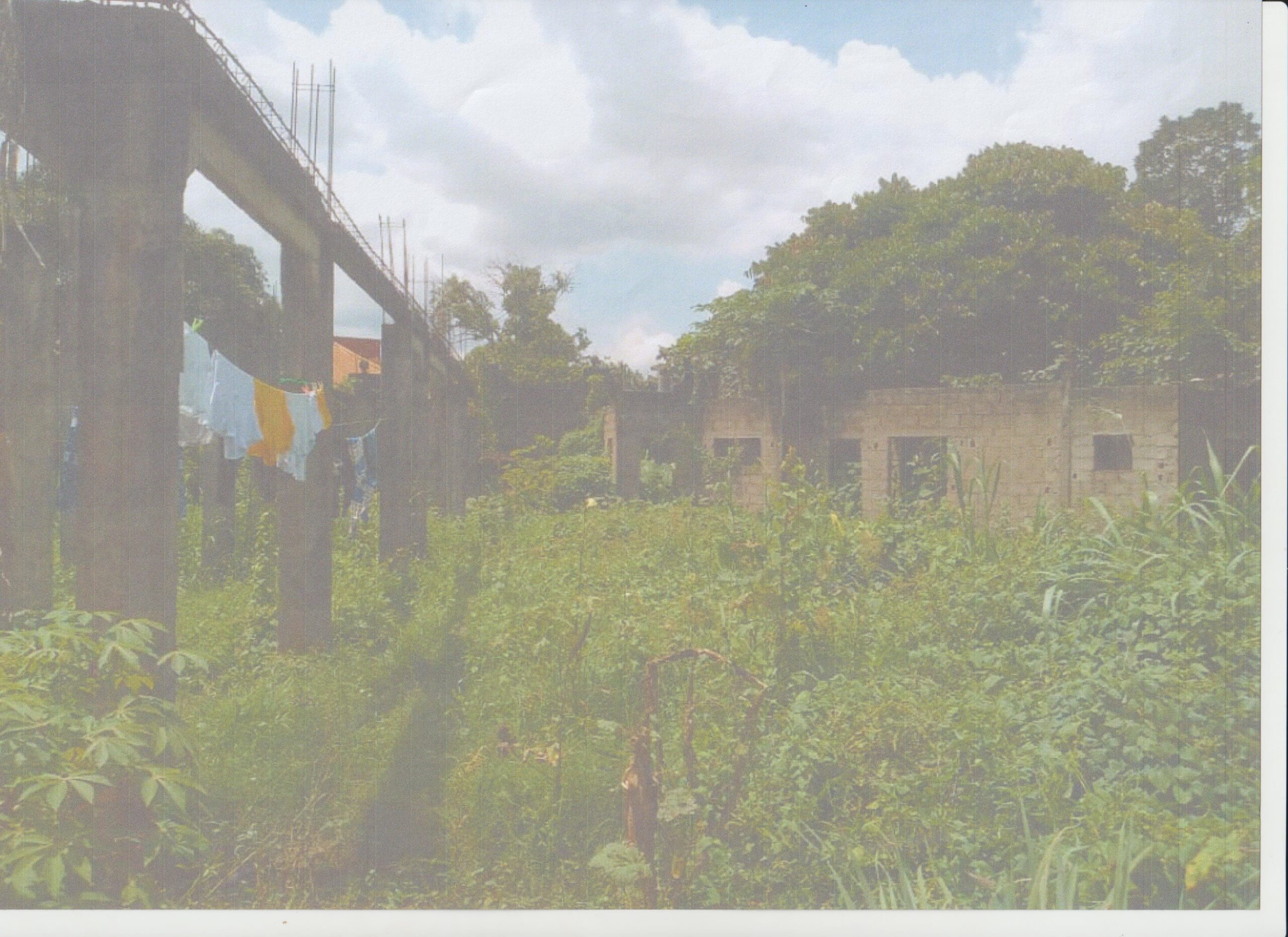 830m² de Terrain à Vendre à Yaoundé au lieu dit AHALA Barriere