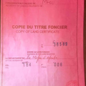 Plusieurs lots disponibles dans la Mefou-Afamba, à Meyo au lieu dit Akounou